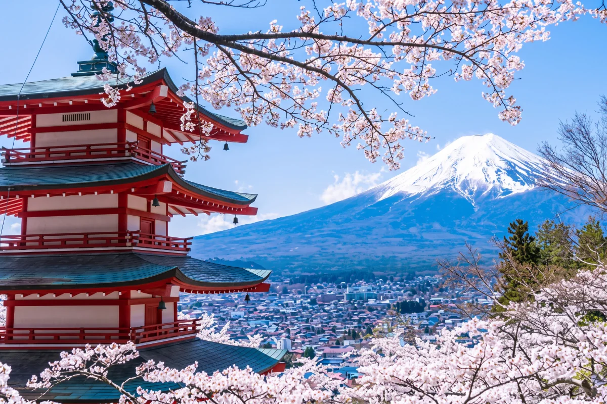 Plan Japón Temporada de Cerezos